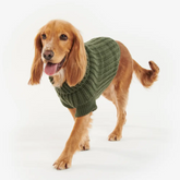 Barbour Saltburn Dog Jumper